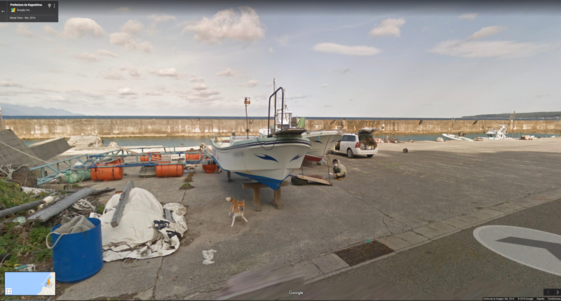 Illustration for article titled Este perro se las arreglĂł para salir en todas las fotos de Google Street View de una calle de JapĂłn